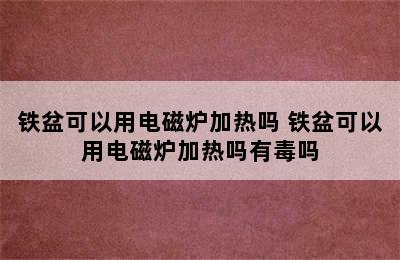 铁盆可以用电磁炉加热吗 铁盆可以用电磁炉加热吗有毒吗